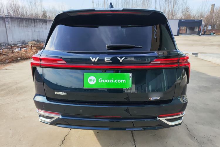 Used Wey Lanshan 2023 Four-Wheel Drive Ultra-Long Range Version
