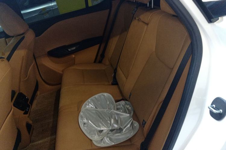 Used Lexus RZ 2023 450e All-Wheel Drive Luxury Edition
