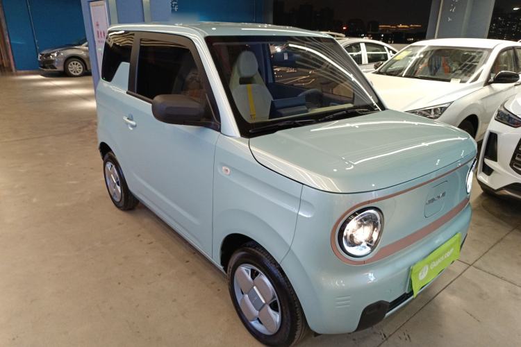Used  Panda 2024 Panda Mini 200km Endurance Bear
