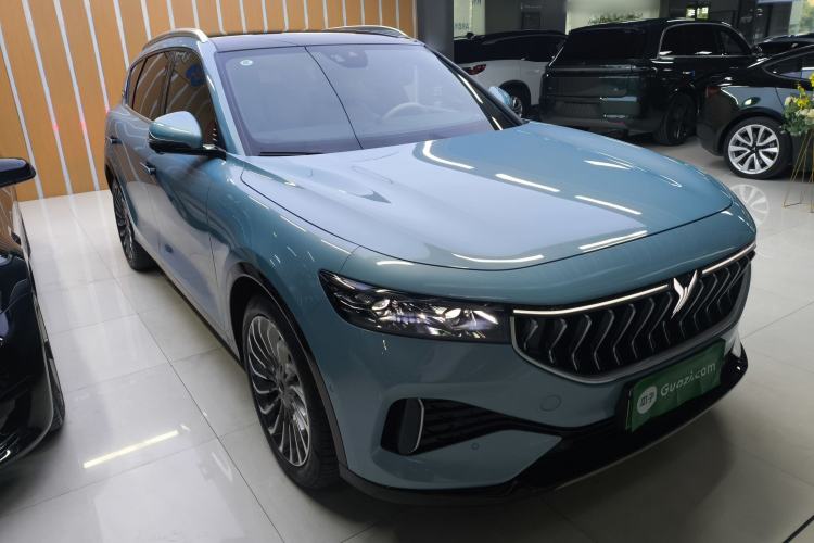 Used VOYAH FREE 2021 Four-Wheel Drive Standard Range-Extended Exclusive Luxury Package
