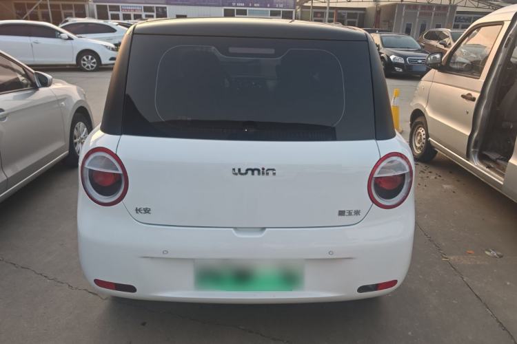 Used  Lumin 2025 205 km Xiangqin Version