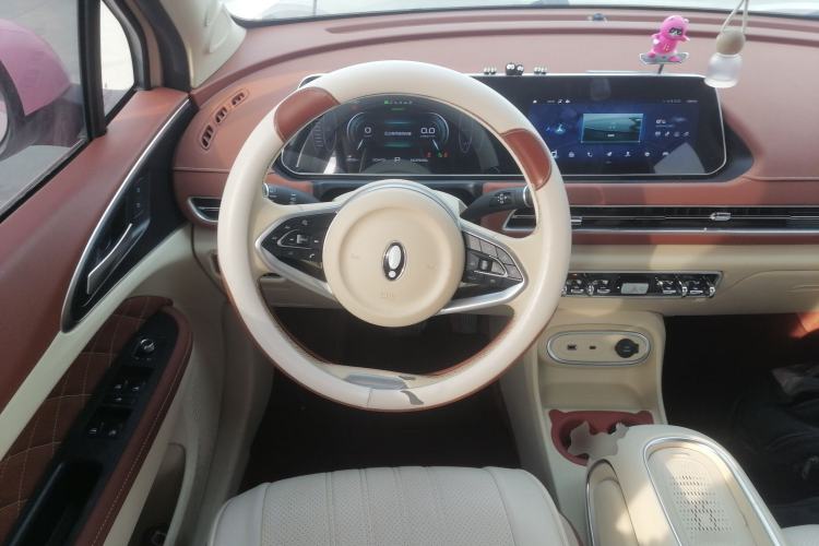 Used ORA Good Cat 2023 401 km Standard Range Luxury Version Lithium Iron Phosphate