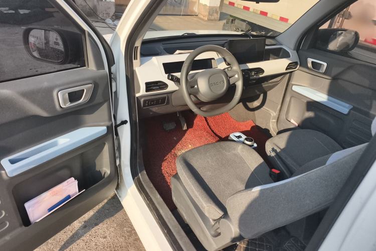 Used  Panda 2024 Panda Mini 200km Endurance Bear
