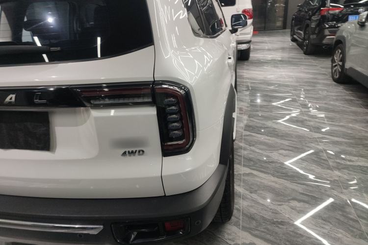 Used Haval DARGO 2021 2.0T DCT 4x4 Chinese Rural Dog Edition
