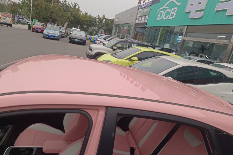 Used NETA V 2021 Witch Edition
