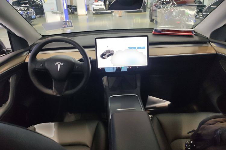 Used Tesla Model Y 2021 Standard Range Rear-Wheel Drive Version
