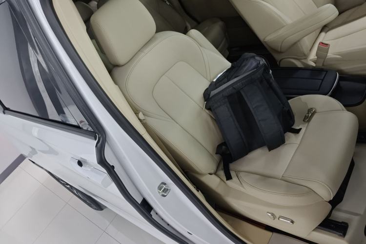 Used Buick GL8 2022 ES Landtrek 653T Luxury Edition