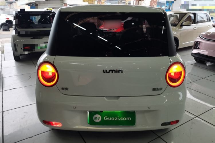 Used  Lumin 2023 205km Xiangqin Version
