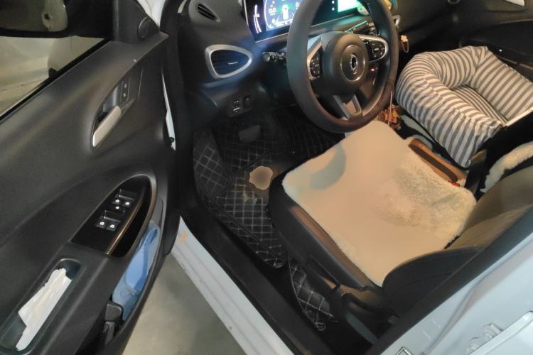 Used ORA White Cat 2020 401 km Long-Range Version
