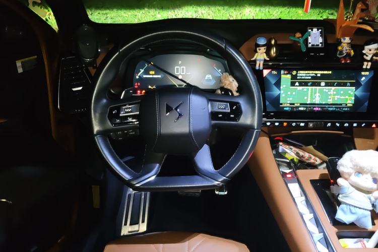 Used  7 2018 45THP Rivoli Pioneer Edition
