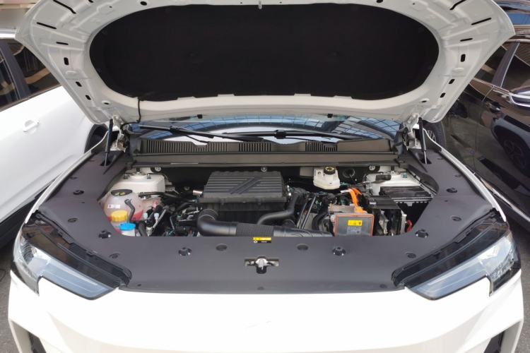 Used  Shanhai L6 2024 1.5TD DHT MAX
