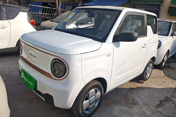 Used  Panda 2024 Panda Mini 200km Endurance Bear