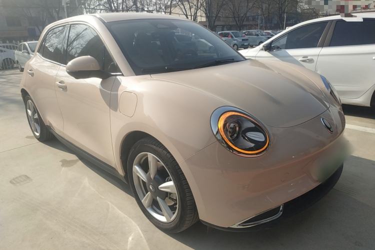 Used ORA Good Cat 2023 401 km Standard Range Luxury Version Lithium Iron Phosphate
