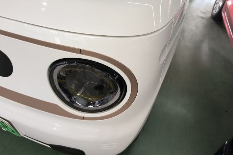 Used  Panda 2024 Panda Mini 200km Endurance Bear