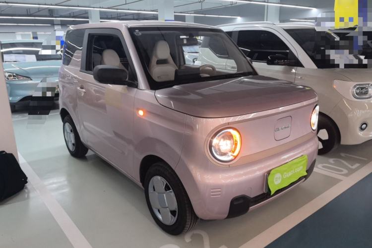 Used  Panda 2024 Panda Mini 200km Endurance Bear
