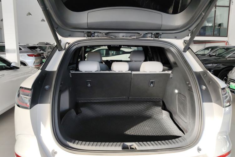 Used BYD Sealion 06 New Energy 