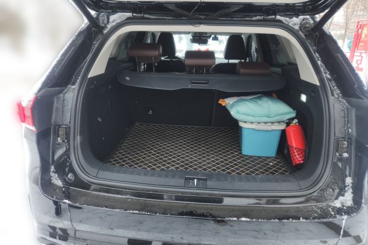 Used Wey VV6 2021 2.0T Two-Wheel Drive Smart Protection+