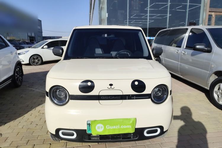 Used  Panda 2025 210 km – Yuanqi Bear
