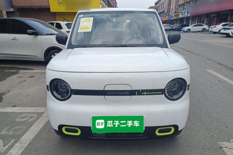 Used  Panda 2025 210 km – Yuanqi Bear
