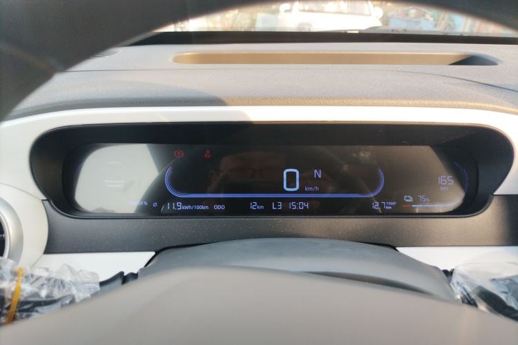 Used  Panda 2025 210km Panda Kart
