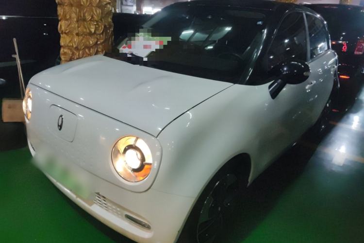 Used ORA Black Cat 2022 351 km Comfort Version Ternary Lithium