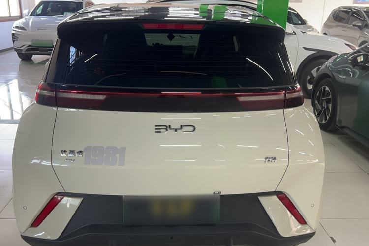 Used BYD Seagull 2025 305 km Free Version
