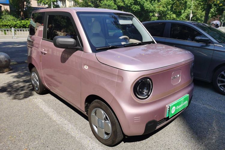 Used  Panda 2024 Panda Mini 200km Dragon Edition
