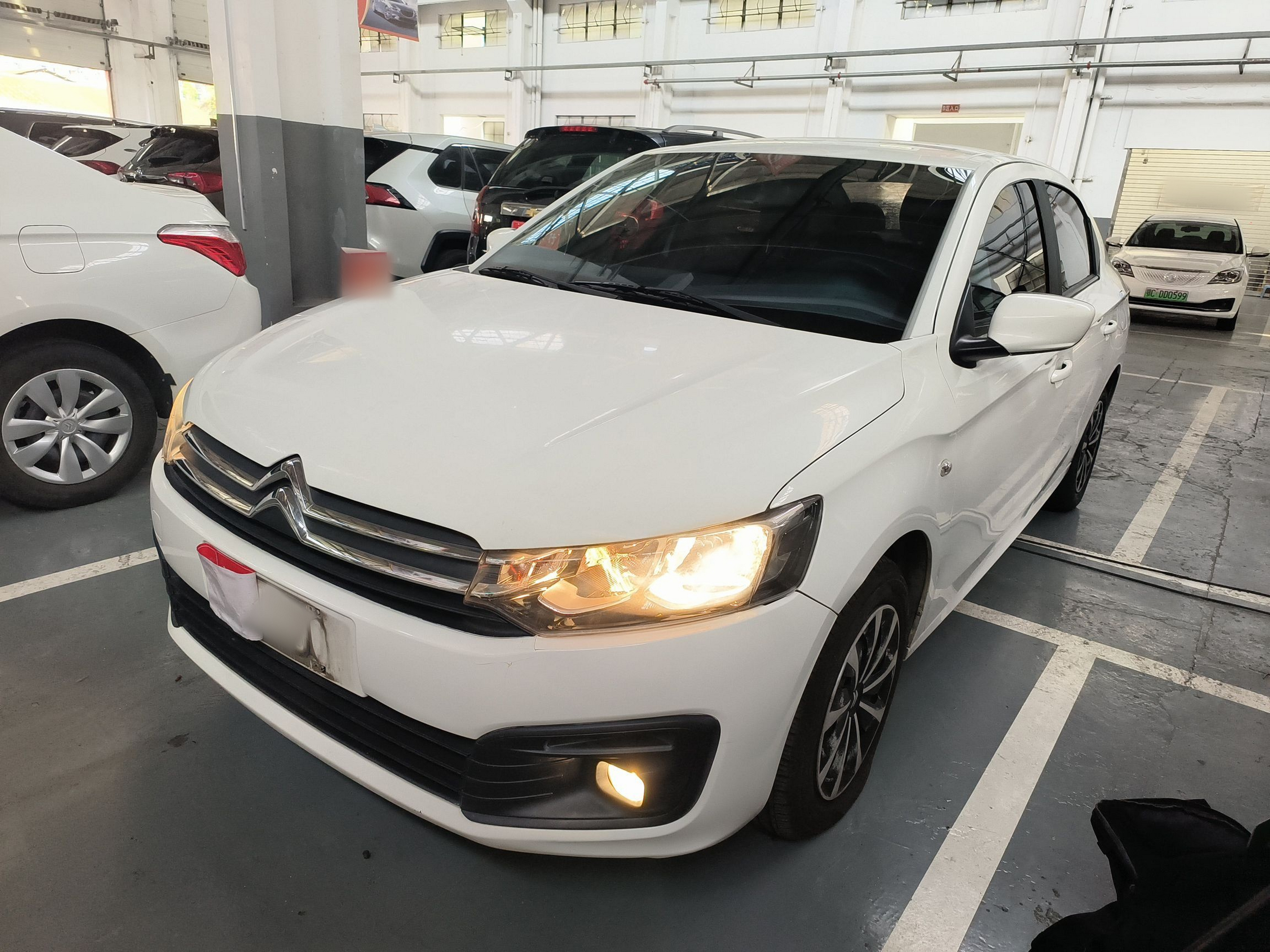 تحت مقدمة السيارة