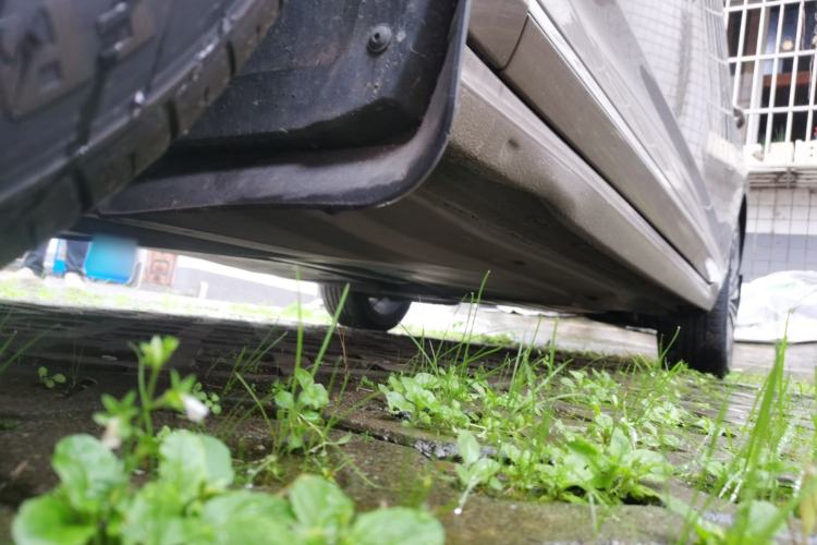 Used Volkswagen Passat 2019 330TSI Luxury Edition China V Standard
