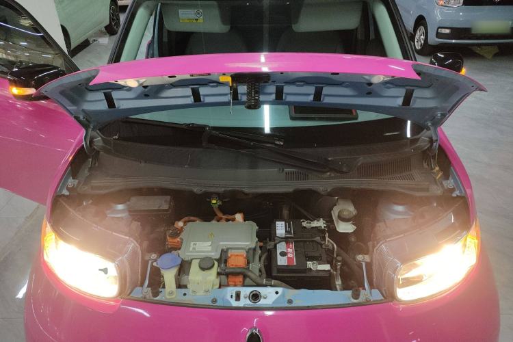 Used ORA White Cat 2020 360 km Luxury Version
