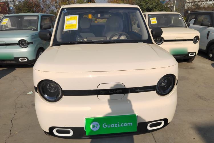 Used  Panda 2025 210 km – Yuanqi Bear