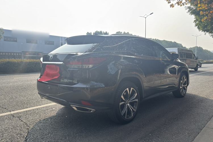 Used Lexus RX 2021 300 Four-Wheel Drive Special Edition
