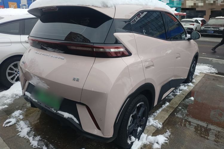 Used BYD Seagull 2024 Honor Edition 305km Freedom Version
