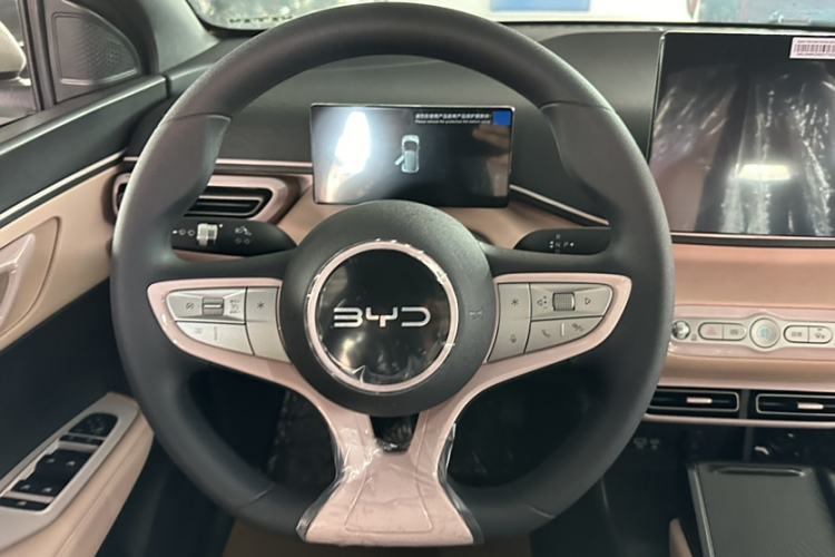 Used BYD Seagull 2025 Intelligent Driving Version 305 km Dynamic Edition
