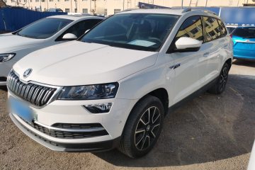 Used Skoda Karoq 2019 TSI280 Smart Drive Elite Edition China V Standard
