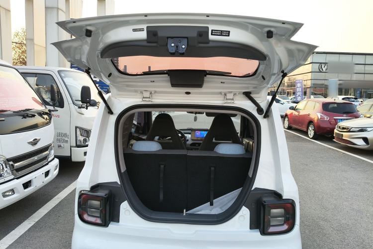 Used  Panda 2024 Panda Mini 200km Endurance Bear