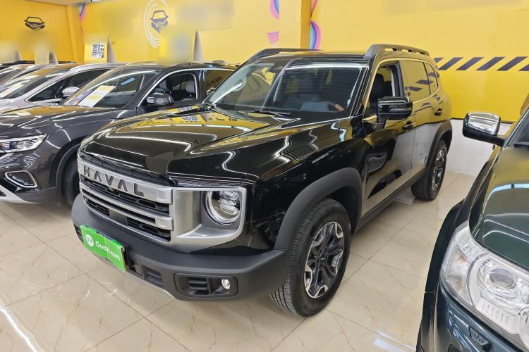 Used Haval DARGO 2024 2.0T DCT Chinese Rural Dog Edition
