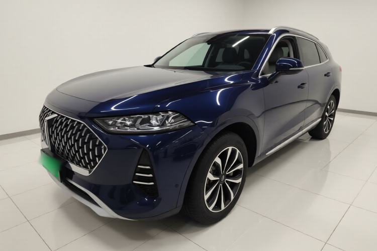 Used Wey Mocha 2021 2.0T Two-Wheel-Drive Premium Edition