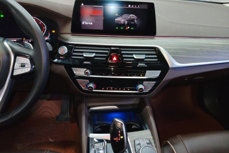 Used BMW 5 Series 2020 530Li Leading Edition Luxury Package