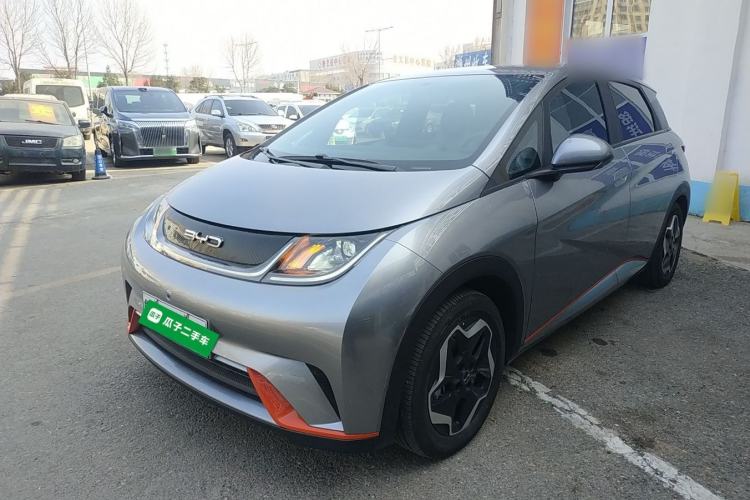Used BYD Dolphin 2021 405 km Free Version
