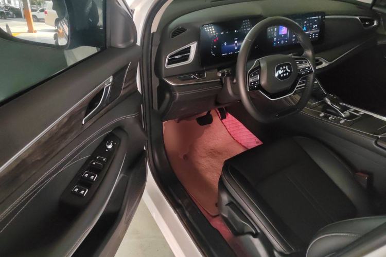 Used  E5 2023 1.5L DE-i 100KM Enjoyment Version 5 Seats
