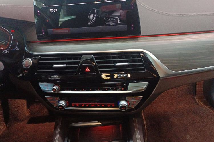 Used BMW 5 Series 2020 530Li Luxury Edition Premium Package
