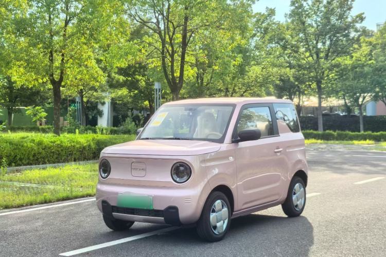 Used  Panda 2024 Panda Mini 200km Endurance Bear