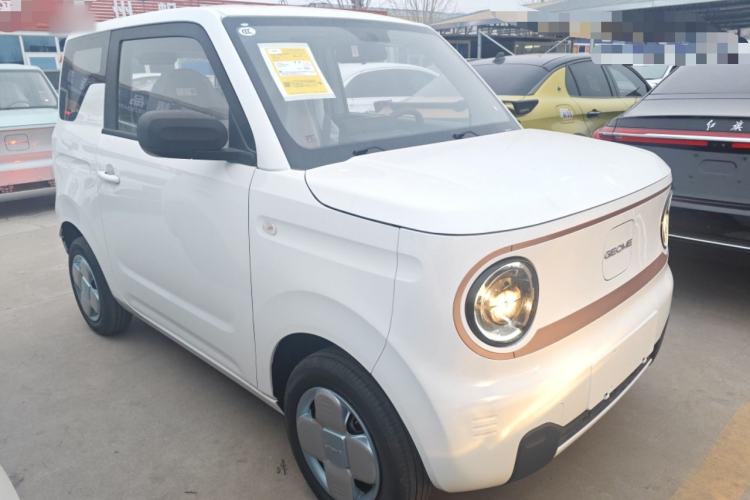 Used  Panda 2024 Panda Mini 200km Endurance Bear
