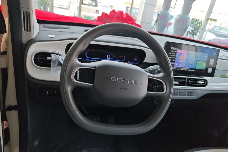 Used  Panda 2025 210 km – Yuanqi Bear
