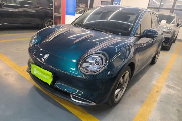 Used ORA Good Cat 2021 400km Standard Range Athena Edition Lithium-Ion Battery