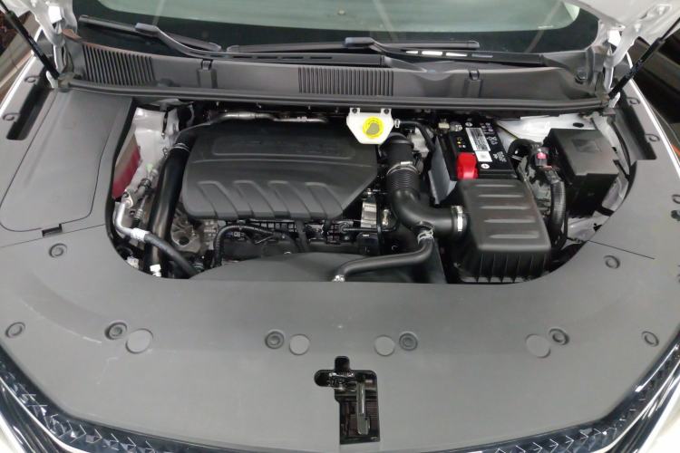 Used FORTHING Yacht 2022 1.5T DCT Chasing-the-Waves Edition
