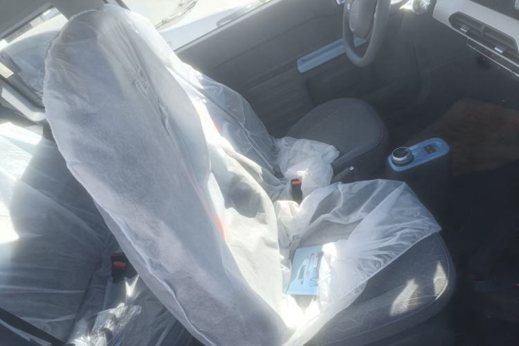 Used  Panda 2024 Panda Mini 200km Endurance Bear
