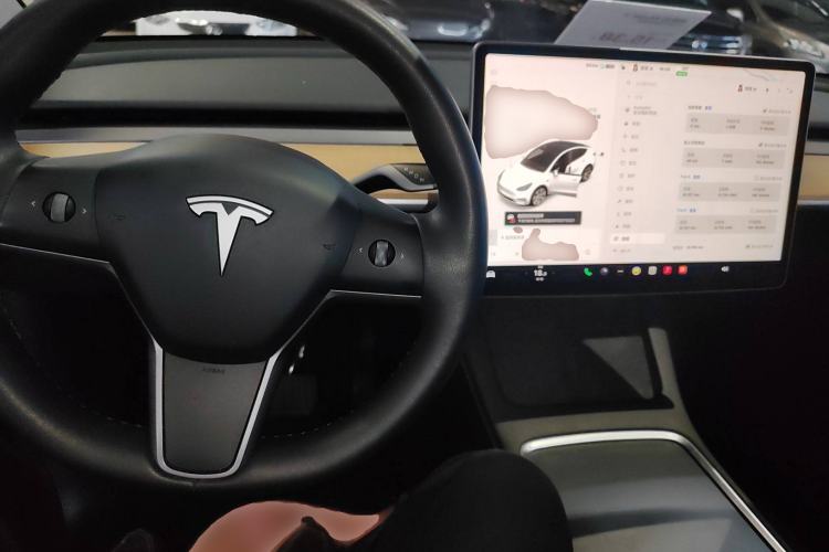 Used Tesla Model Y 2021 Standard Range Rear-Wheel Drive Version
