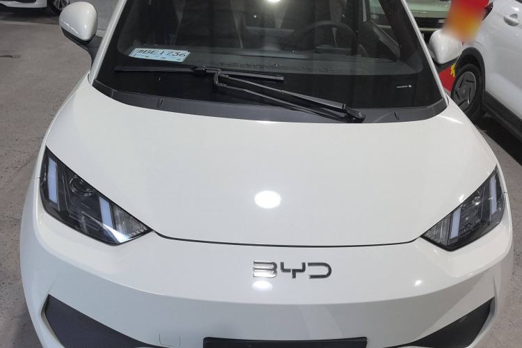 Used BYD Seagull 2025 Intelligent Driving Version 305 km Dynamic Edition
